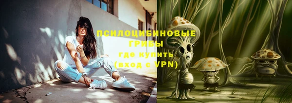 гидра Покачи