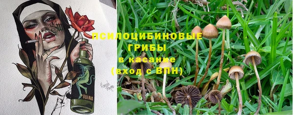 2c-b Покров