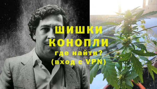 гидра Покачи
