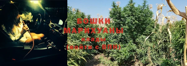 гидра Покачи