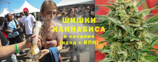гидра Покачи