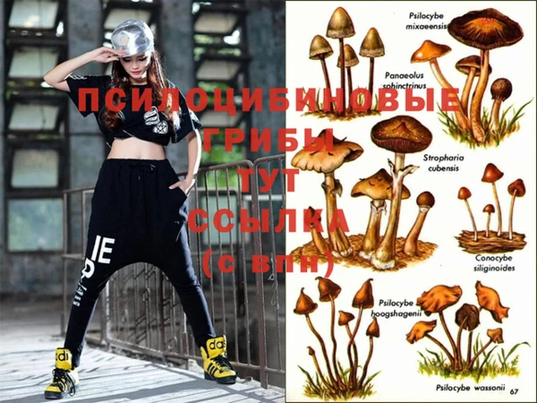 PSILOCYBIN Протвино