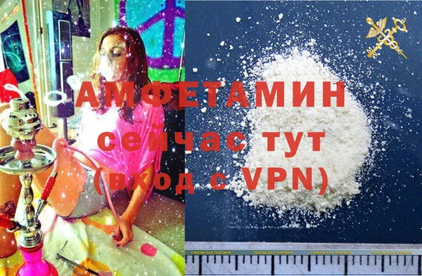 гидра Покачи