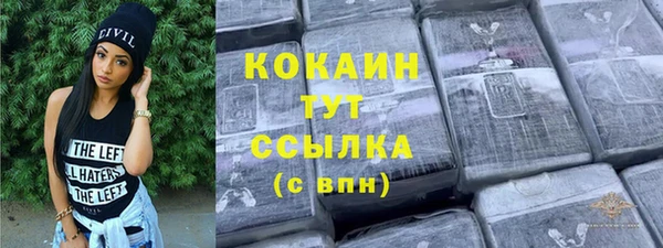 гидра Покачи