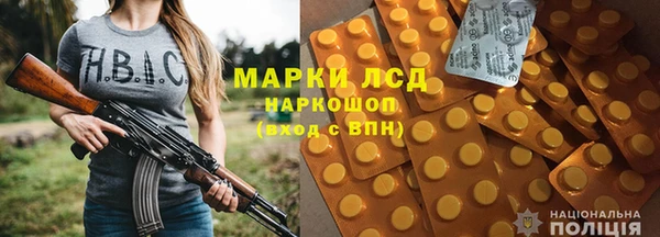 гидра Покачи