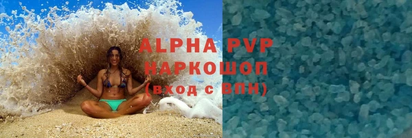 гидра Покачи