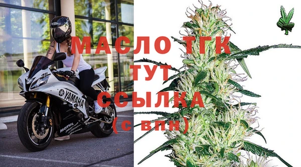 гидра Покачи