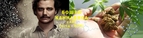 гидра Покачи