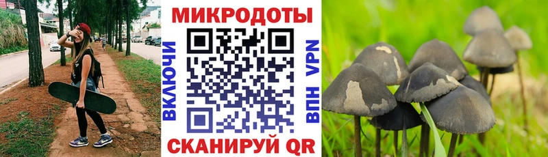 Галлюциногенные грибы Cubensis  blacksprut вход  Алексеевка 