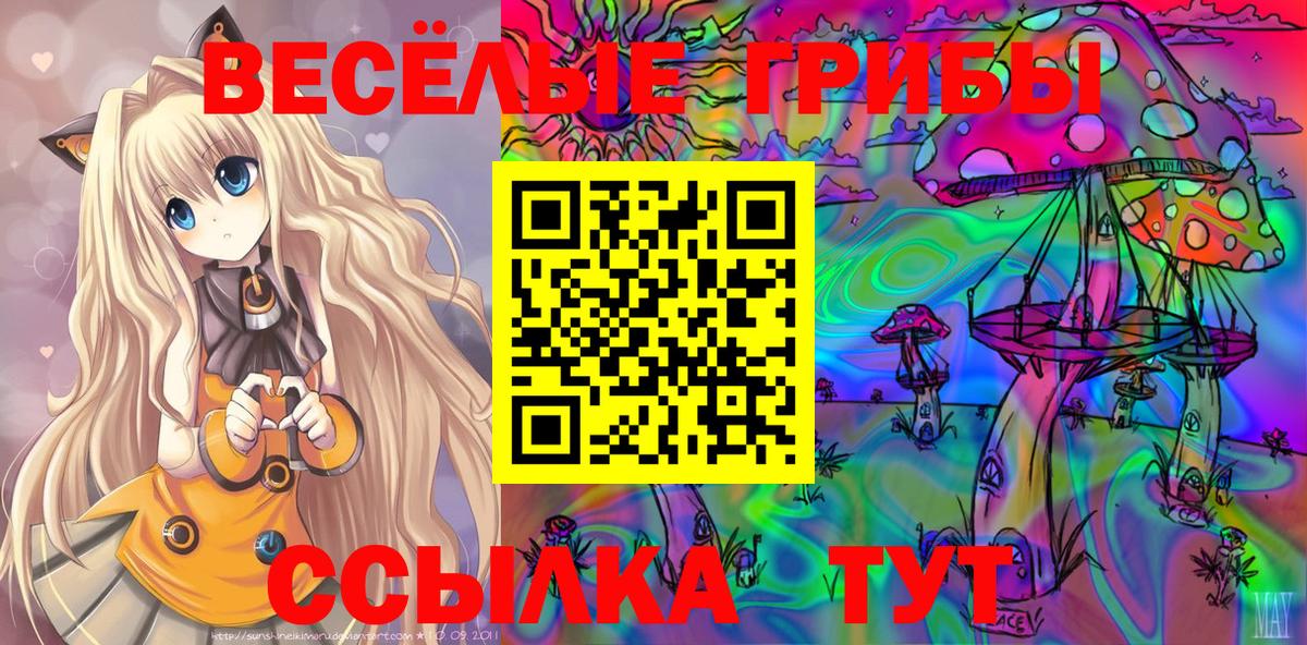 Галлюциногенные грибы ЛСД Алексеевка